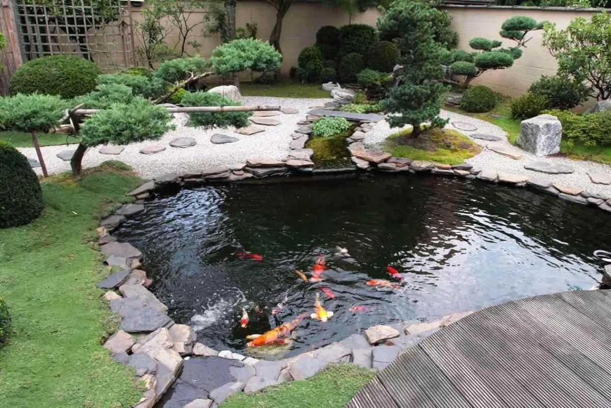 Thiết kế hồ nước sân vườn